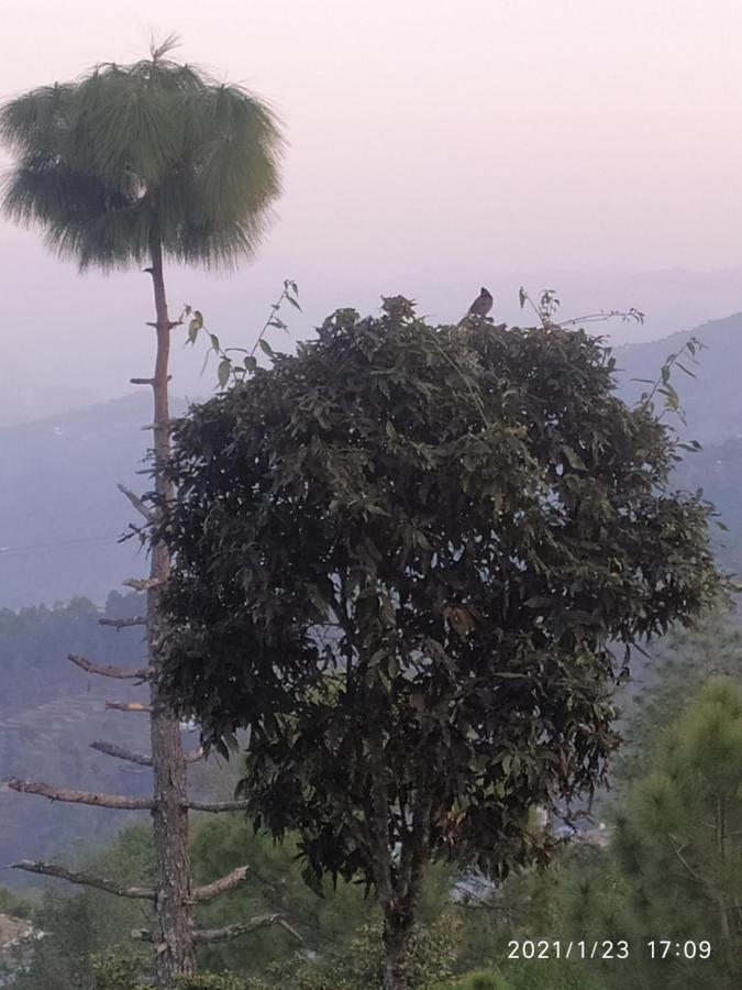 Mangalmurti Himalyan Homestay Hawalbagh Exteriör bild